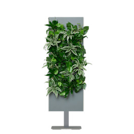 Slate SKU Image