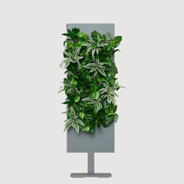 Slate SKU Image