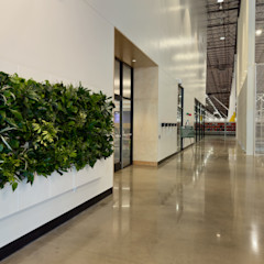 Biome-Gallery-42
