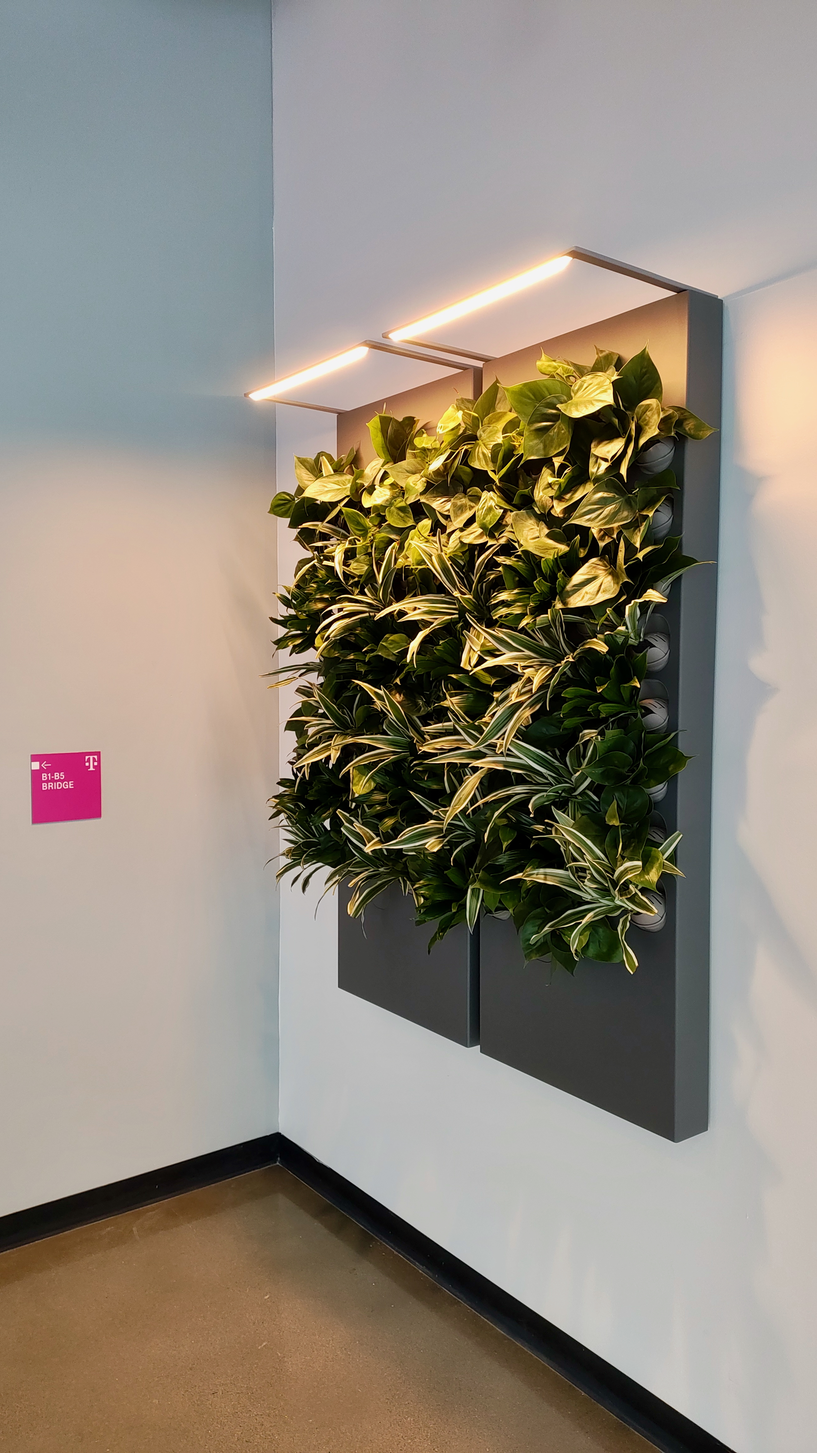 Biome-Gallery-40