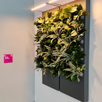 Biome-Gallery-40