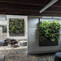 Biome-Gallery-13
