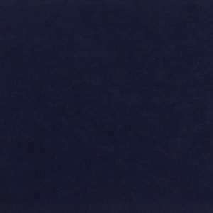 Navy 107 Sample Image
