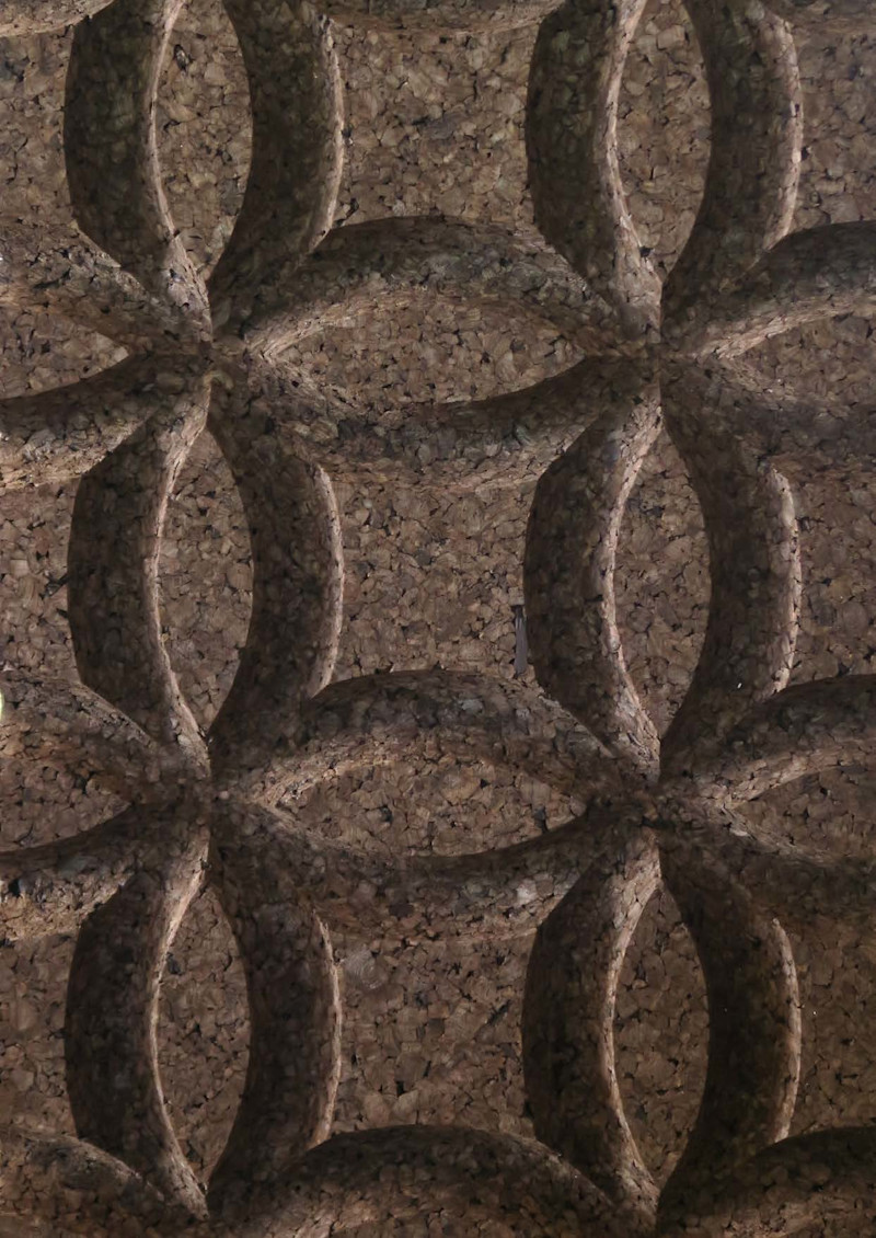 Circles L1 Sample Image