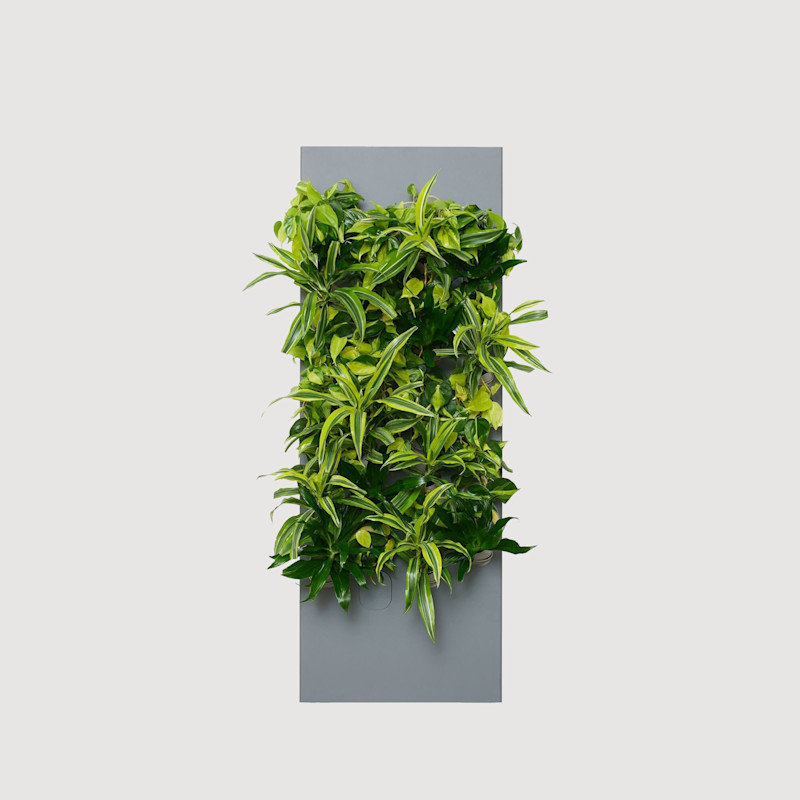 Slate Sample Image
