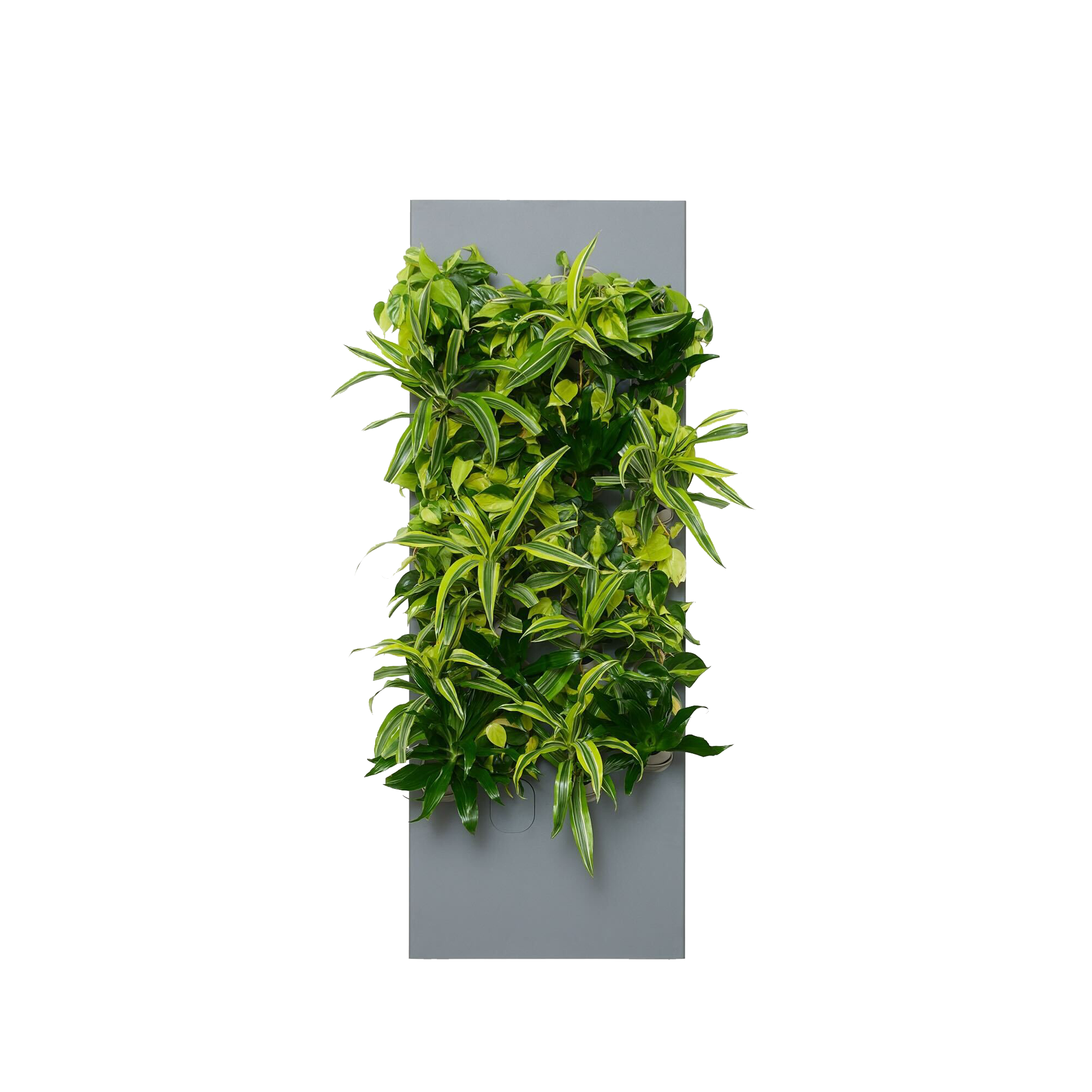 Slate SKU Image
