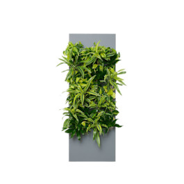 Slate SKU Image