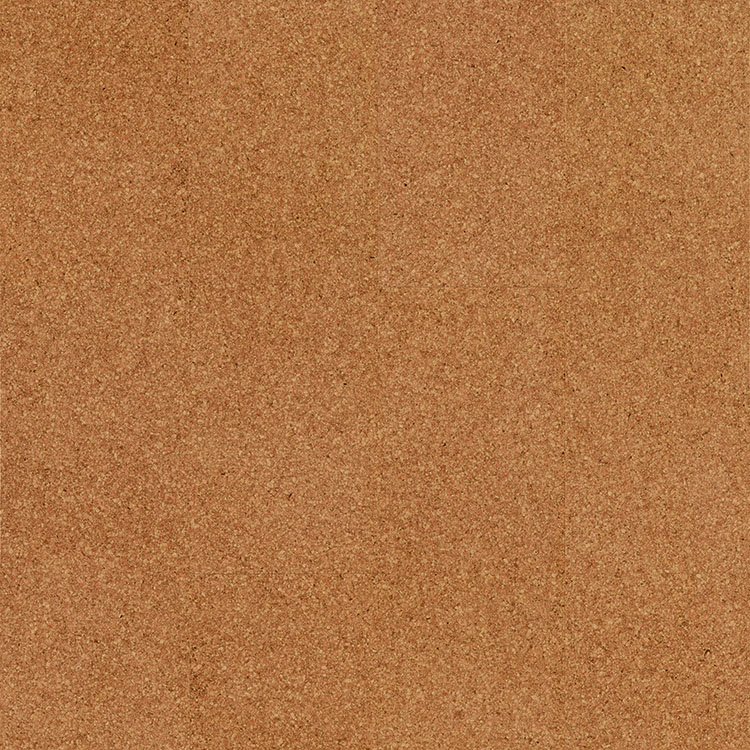 Moment 80001631 SKU Image