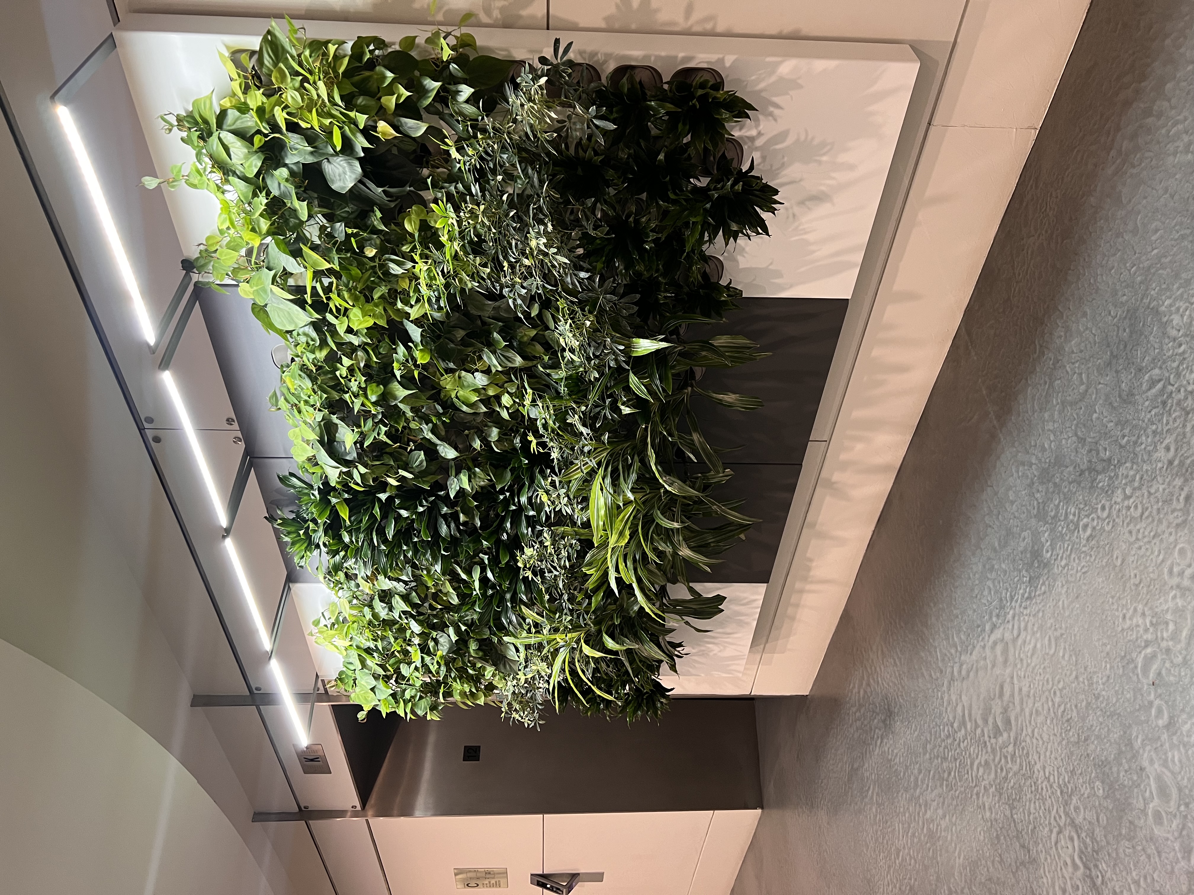Biome-Gallery-36