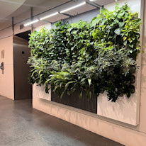 Biome-Gallery-36