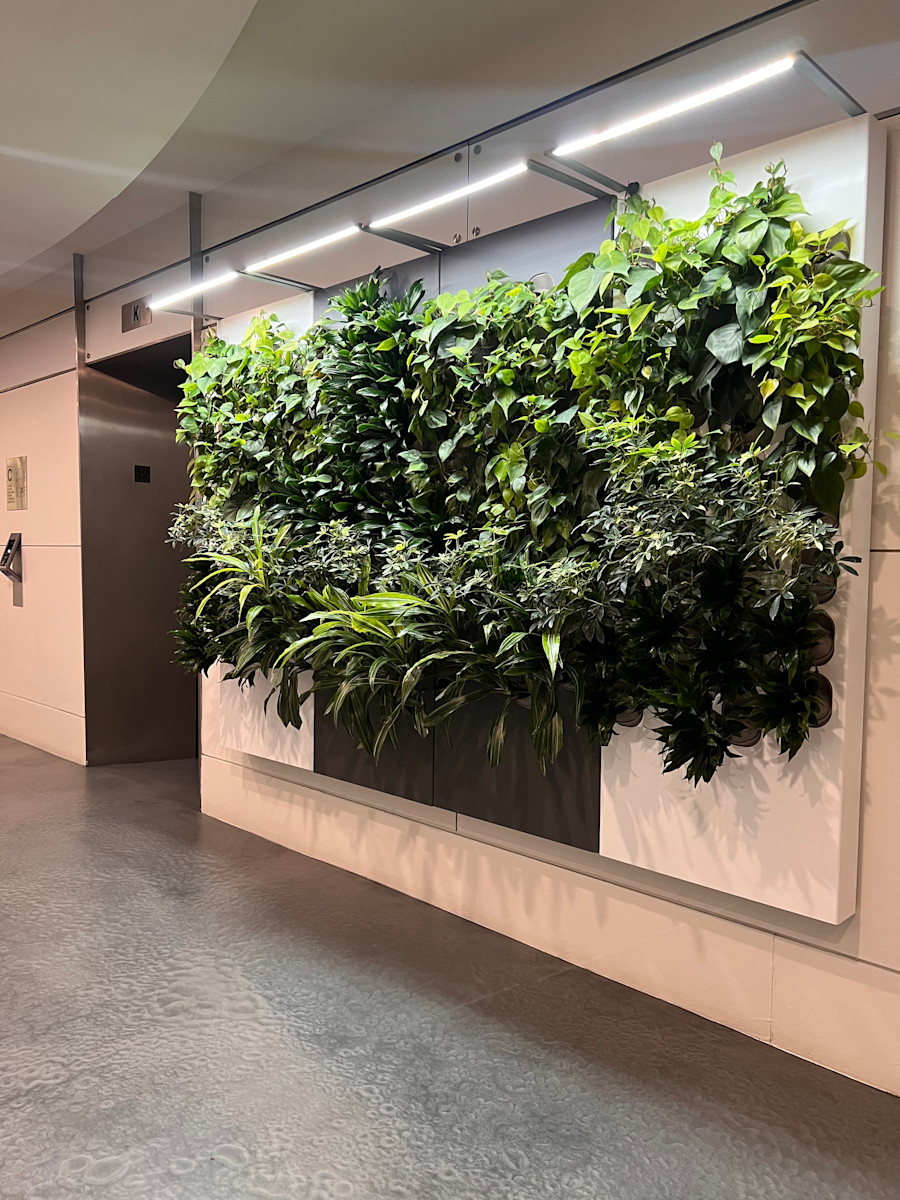 Biome-Gallery-36
