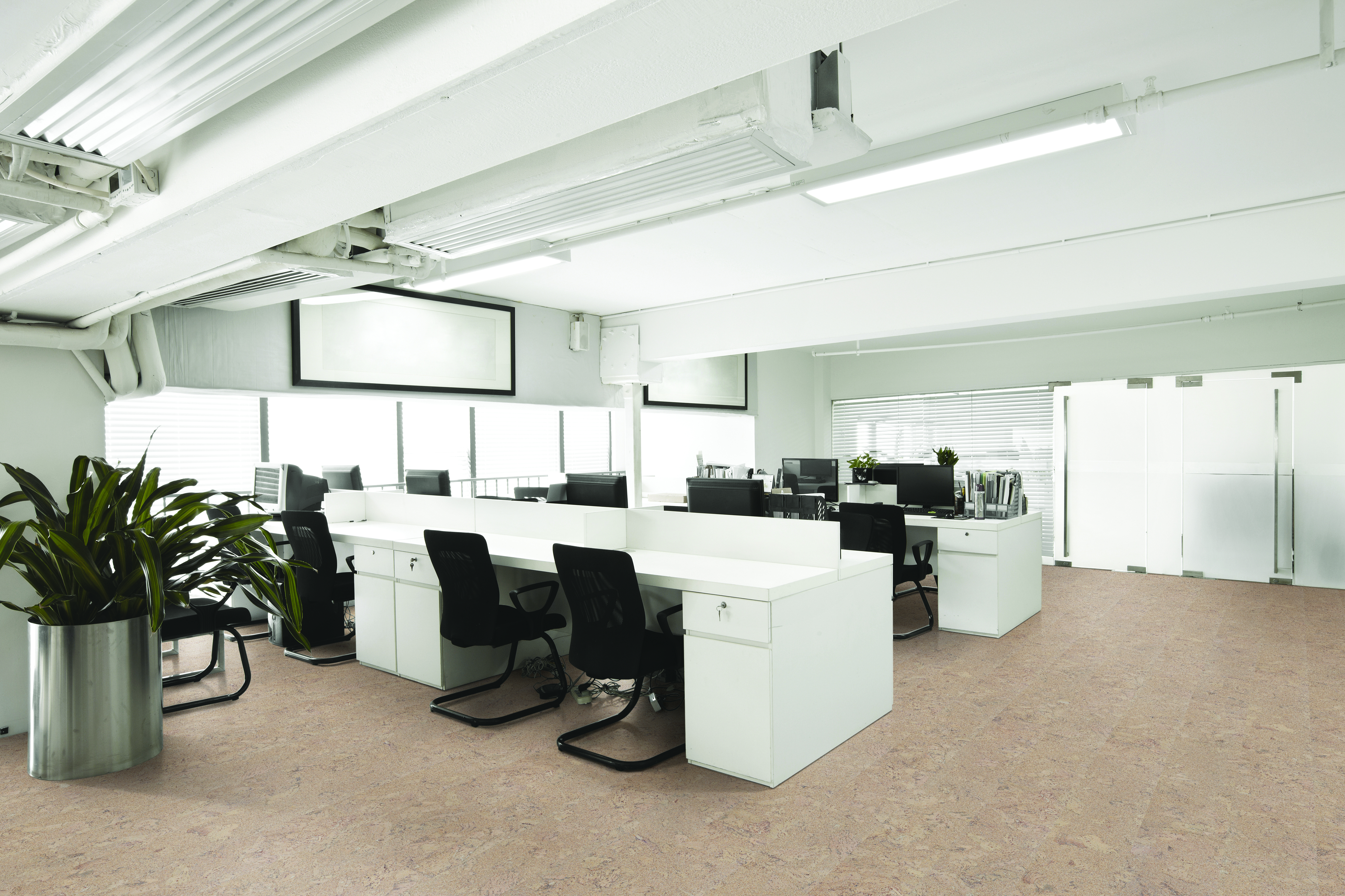 Shell Jasmim Int Wicanders Cork Inspire