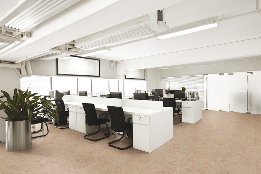 Shell Jasmim Int Wicanders Cork Inspire