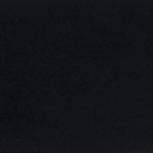 Ebony 101 Sample Image
