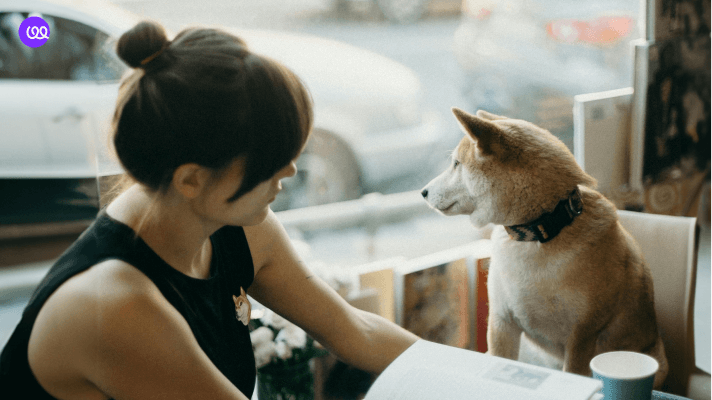 dog and woman