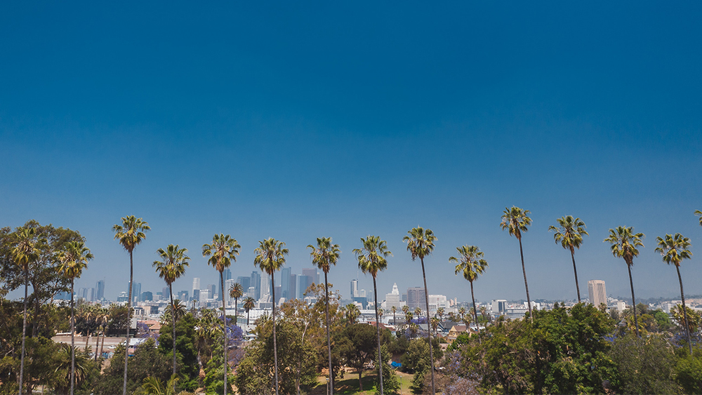 Is California good for international students? This image shows palm trees outside universities in California state. International students can apply to study in California with Shorelight.