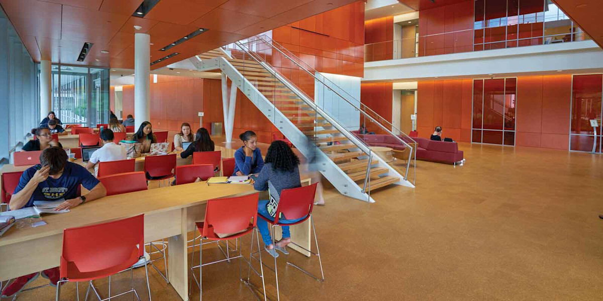 Study at Adelphi University International Students