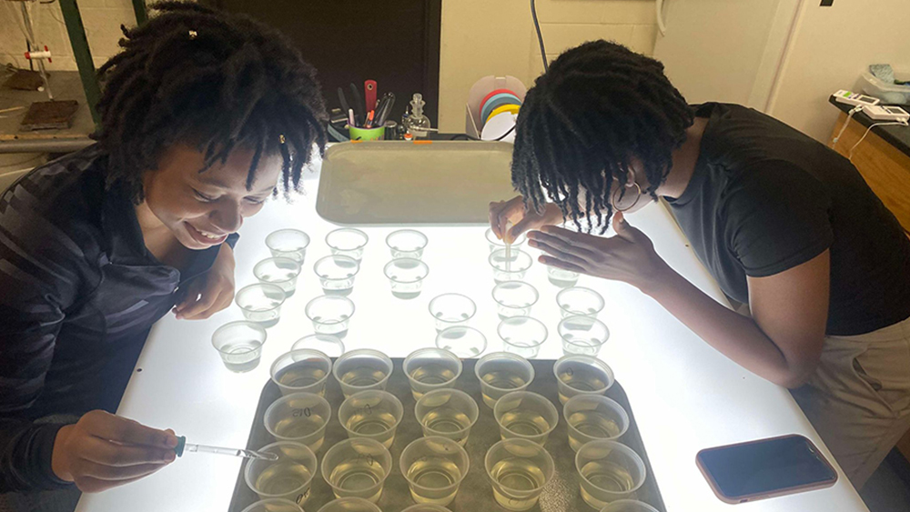 Ore, a female international student from Nigeria studying at the University of Wisconsin - Superior, works in a lab with a classmate