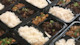 A display of takeout meals for international students at Auburn University with to-go meals including bao, rice noodles, vegetables, and dumplings.