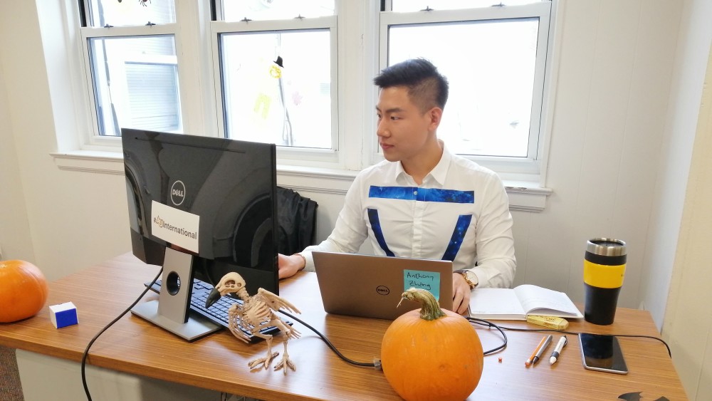 Getting an OPT Job An Adelphi Student Story Shorelight