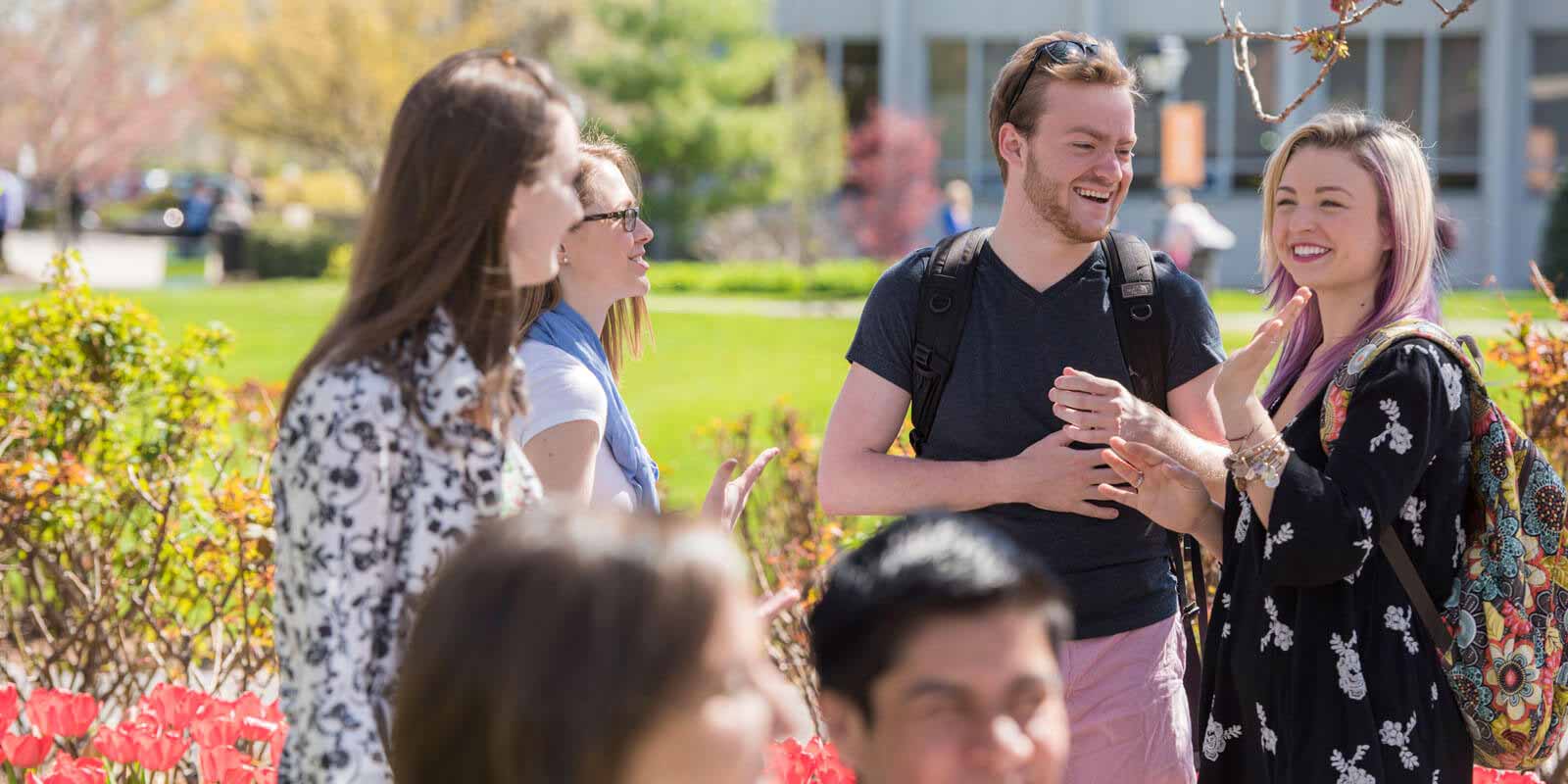 International Undergraduate Programs at Adelphi University