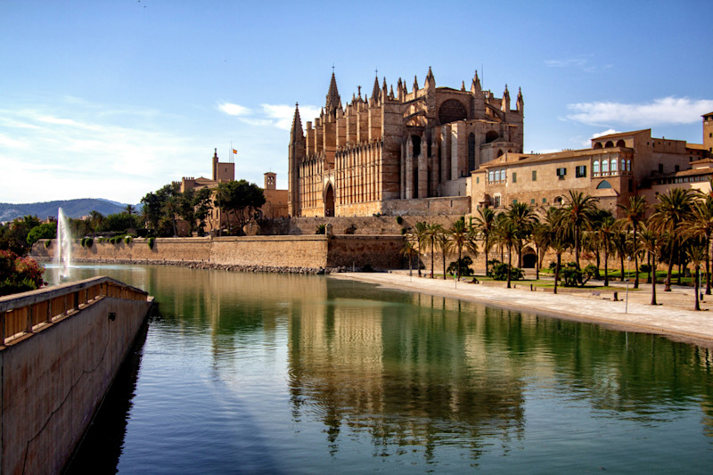 Featured Image - Palma