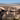 Image placeholder blur