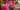 Image placeholder blur
