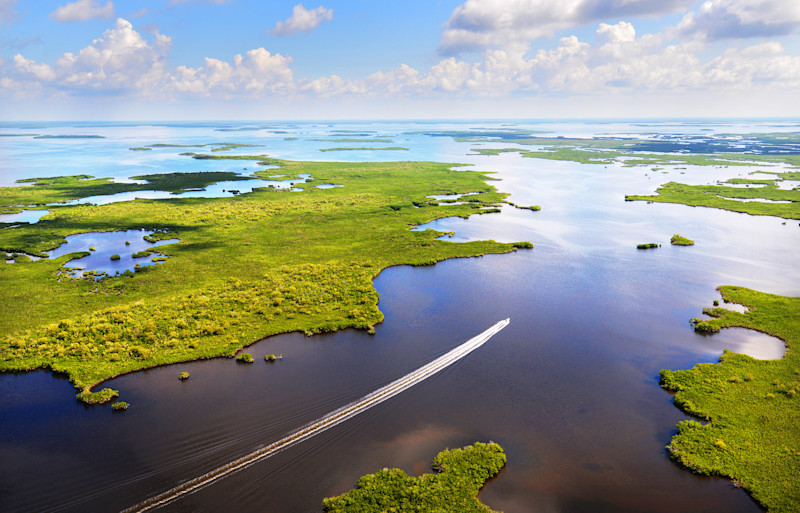 Everglades Florida