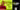 Image placeholder blur