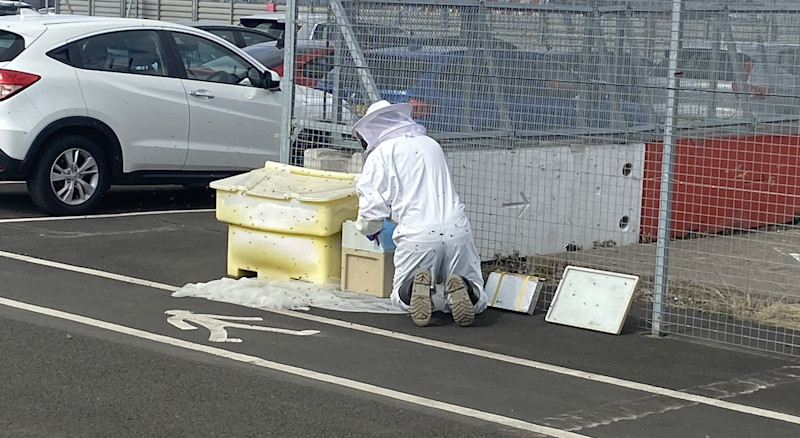 Steven Redmond beekeeper, at Edinburgh Airport.
