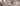 Image placeholder blur