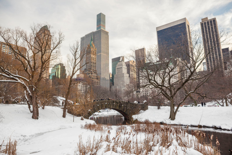 New York winter - skyline 2