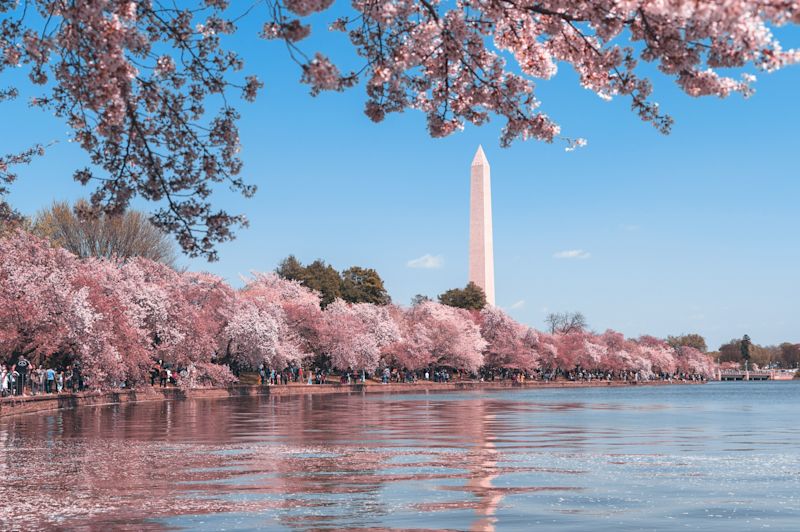 Washington DC competition hero