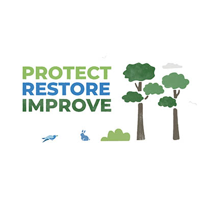 Illustration with 'Protect', 'Restore', and 'Improve' on the left, and trees on the right.