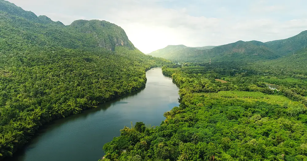 Bird's-eye view of a winding river surrounded by lush greenery and rolling hills.