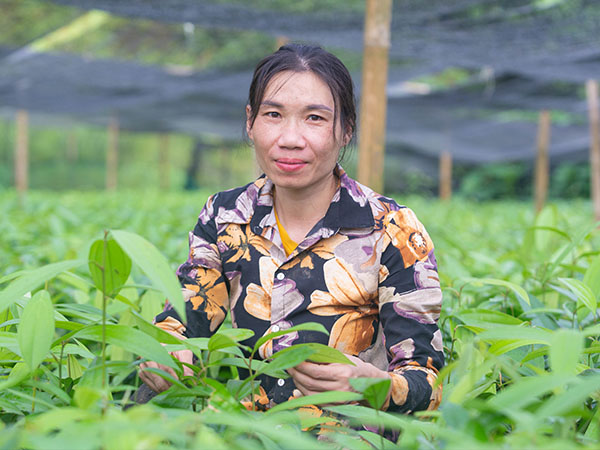 An Asian female with dark hair. She wears a patterned shirt and is standing in a field of large plants.