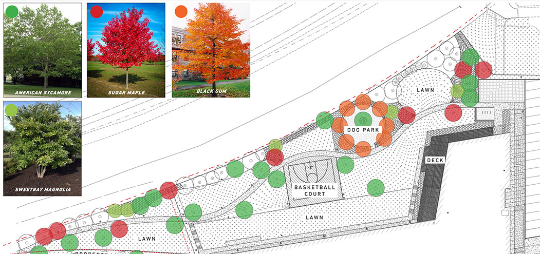 CMM 103350 landscaping