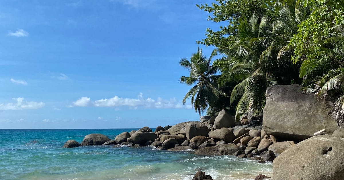 Green Trees Near Rocky Shore Under Blue Sky