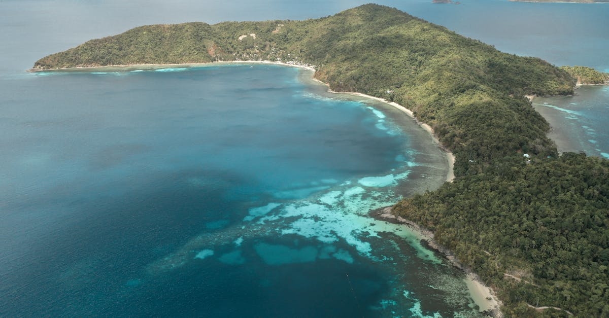 Aerial Shot Of An Island
