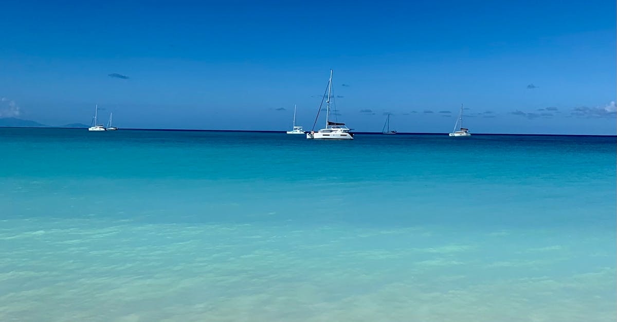 Luxury Yachts Anchored by Beach on Clear Blue Sea