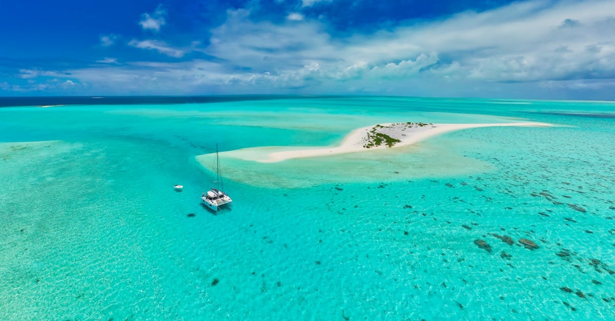 Aerial View of a Tropical Island