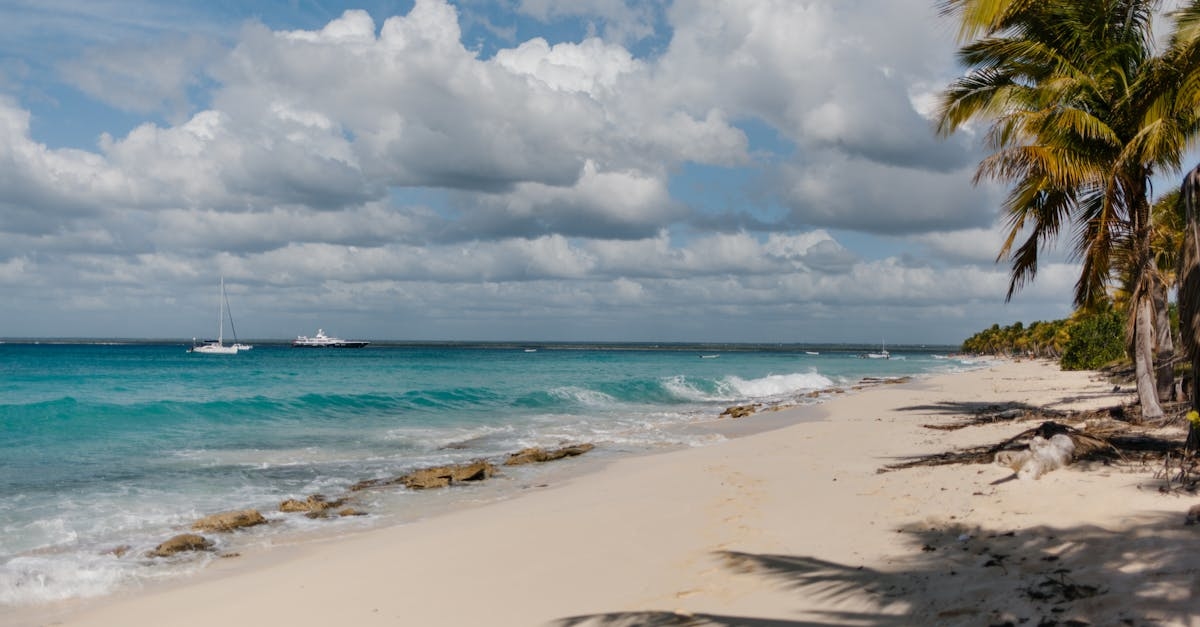 Small Waves Crashing on the Seashore