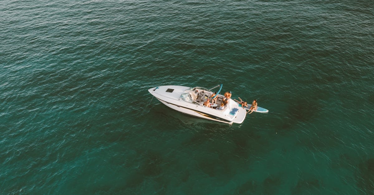 White and Brown Boat on Green Water
