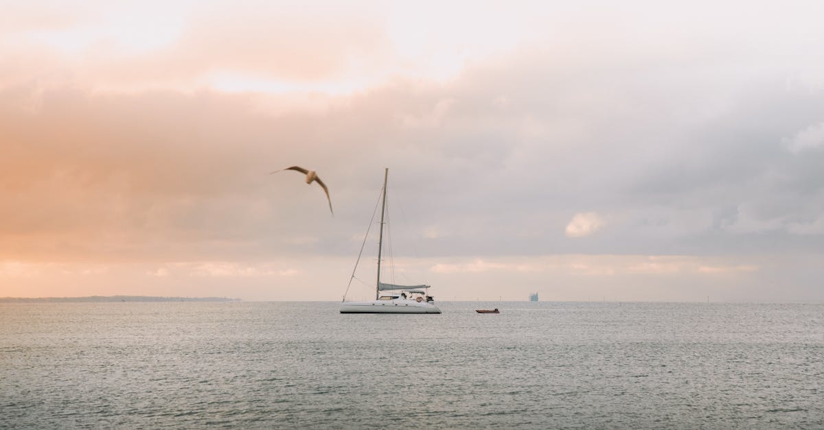 Yacht on Body of Water