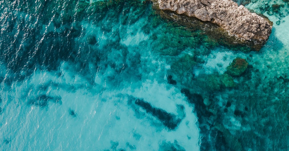 Aerial View of an Ocean