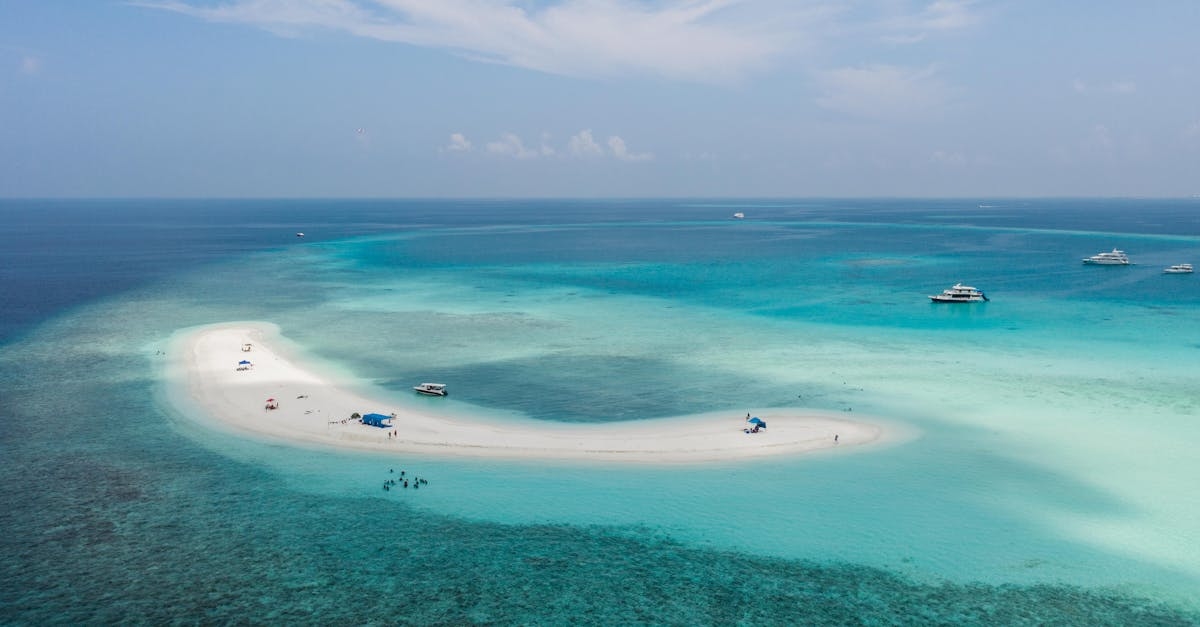 Aerial View of a Turquoise Water