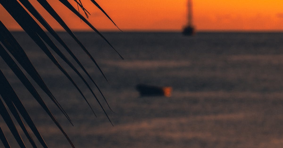 Blurred Photo of Sunset over the Sea Horizon