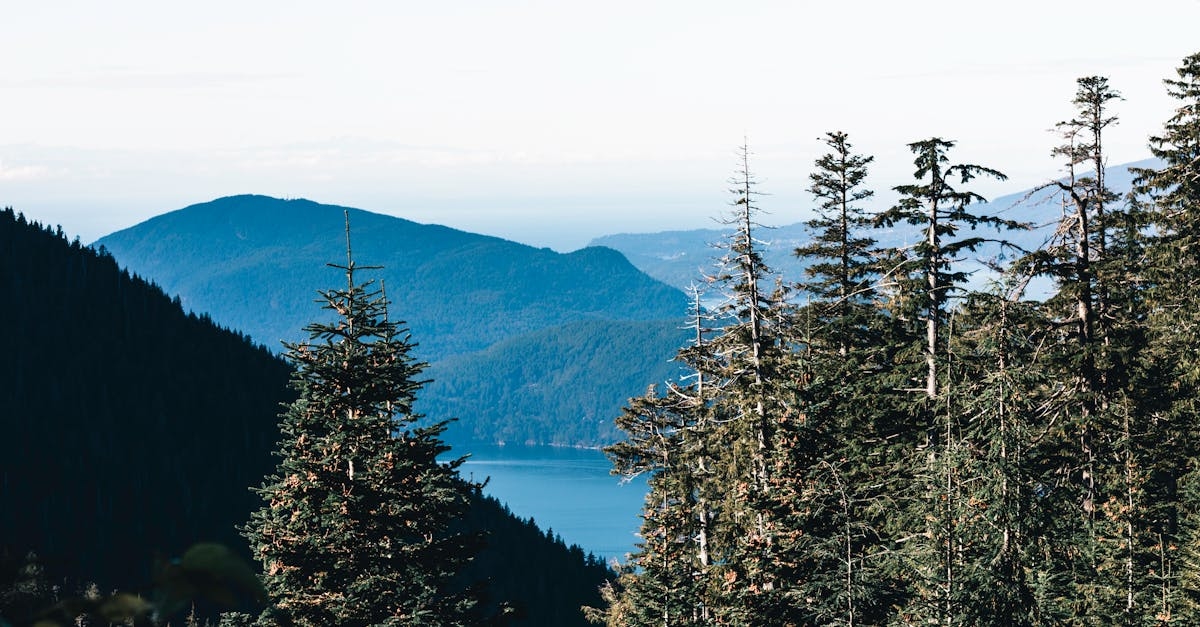 Vancouver boat rental views