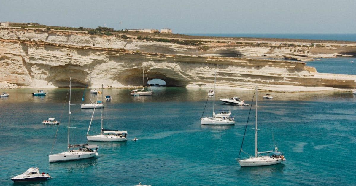 Lots of Sailboats in Ocean